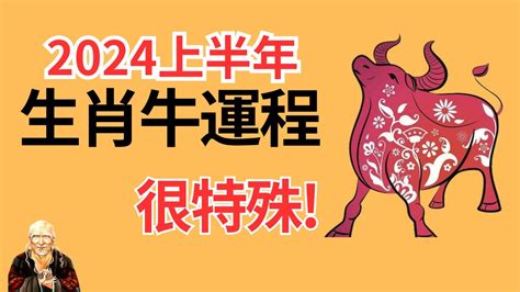 屬牛運勢|2024年1月各生肖運勢出爐 屬牛者人際運勢亮眼